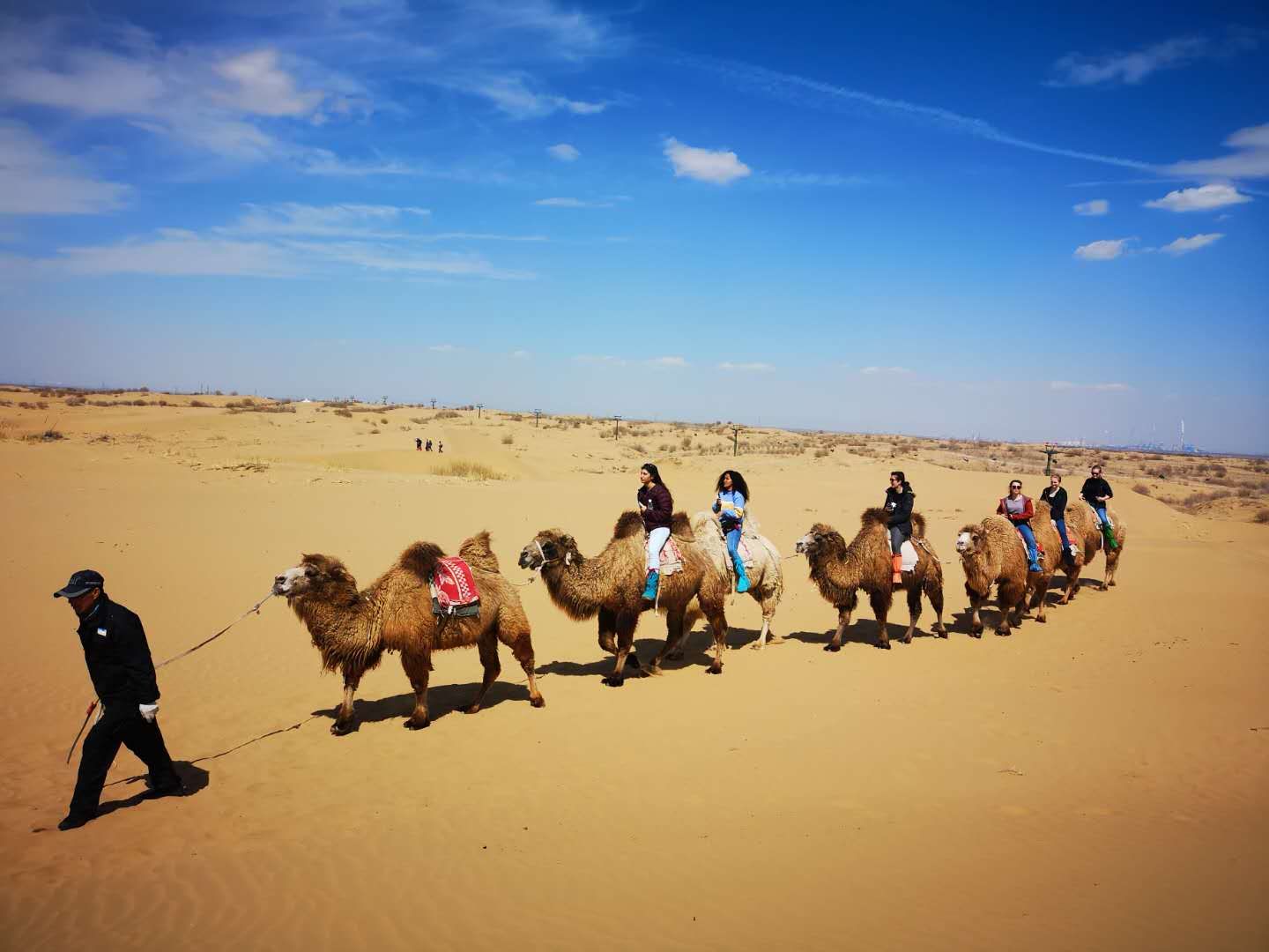 清明节库布齐沙漠徒步游记