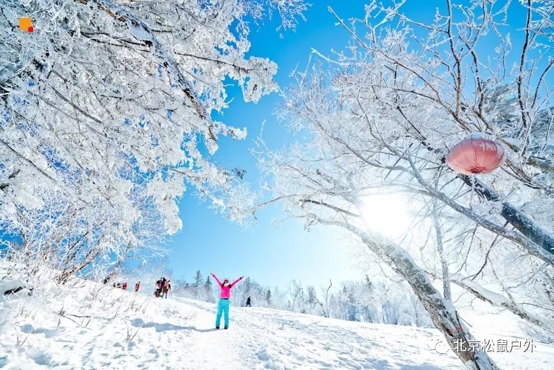 「2021年元旦雪乡旅游」雪谷雪乡徒步穿越，户外纯玩线路